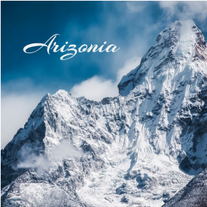 PP Display A4 | 21,0×29,7 cm